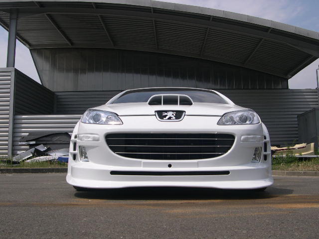 My perfect Peugeot 407 Sedan. 3DTuning - probably the best car ...